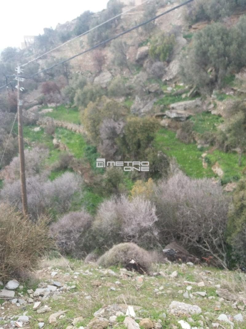 Parcel in Ano Aprovato, Andros — Photo 12 of 20