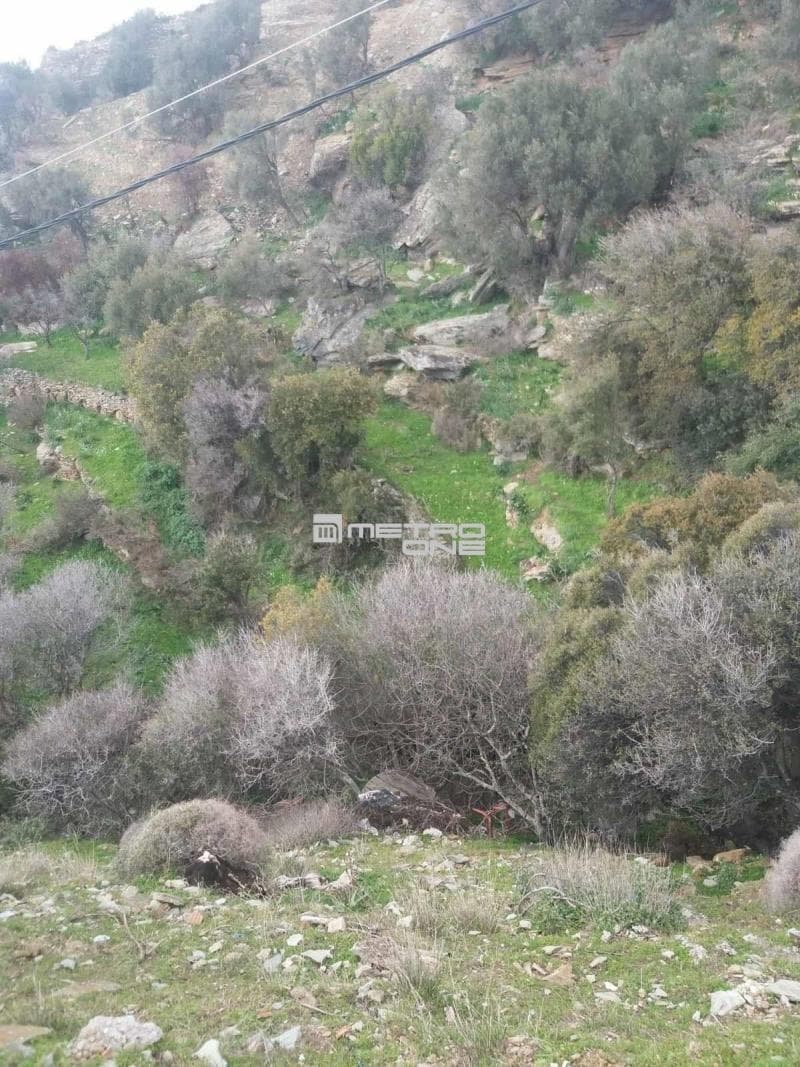 Parcel in Ano Aprovato, Andros — Photo 13 of 20