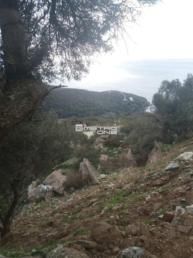 Parcel in Ano Aprovato, Andros — Photo 14 of 20