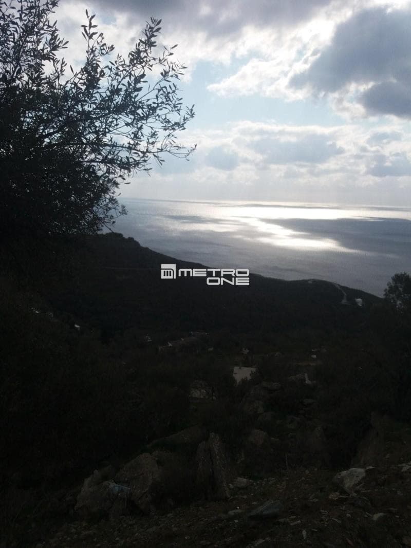 Parcel in Ano Aprovato, Andros — Photo 16 of 20