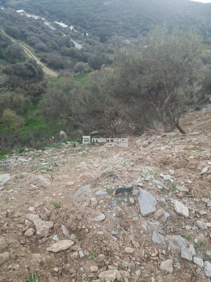 Parcel in Ano Aprovato, Andros — Photo 17 of 20