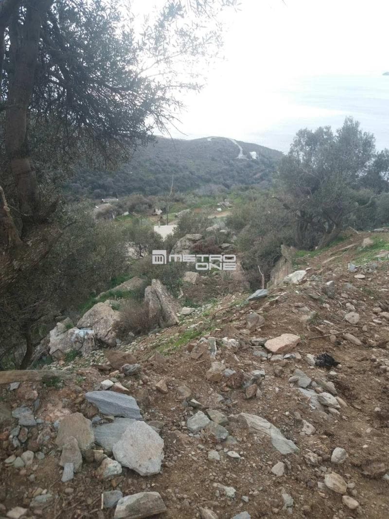Parcel in Ano Aprovato, Andros — Photo 19 of 20