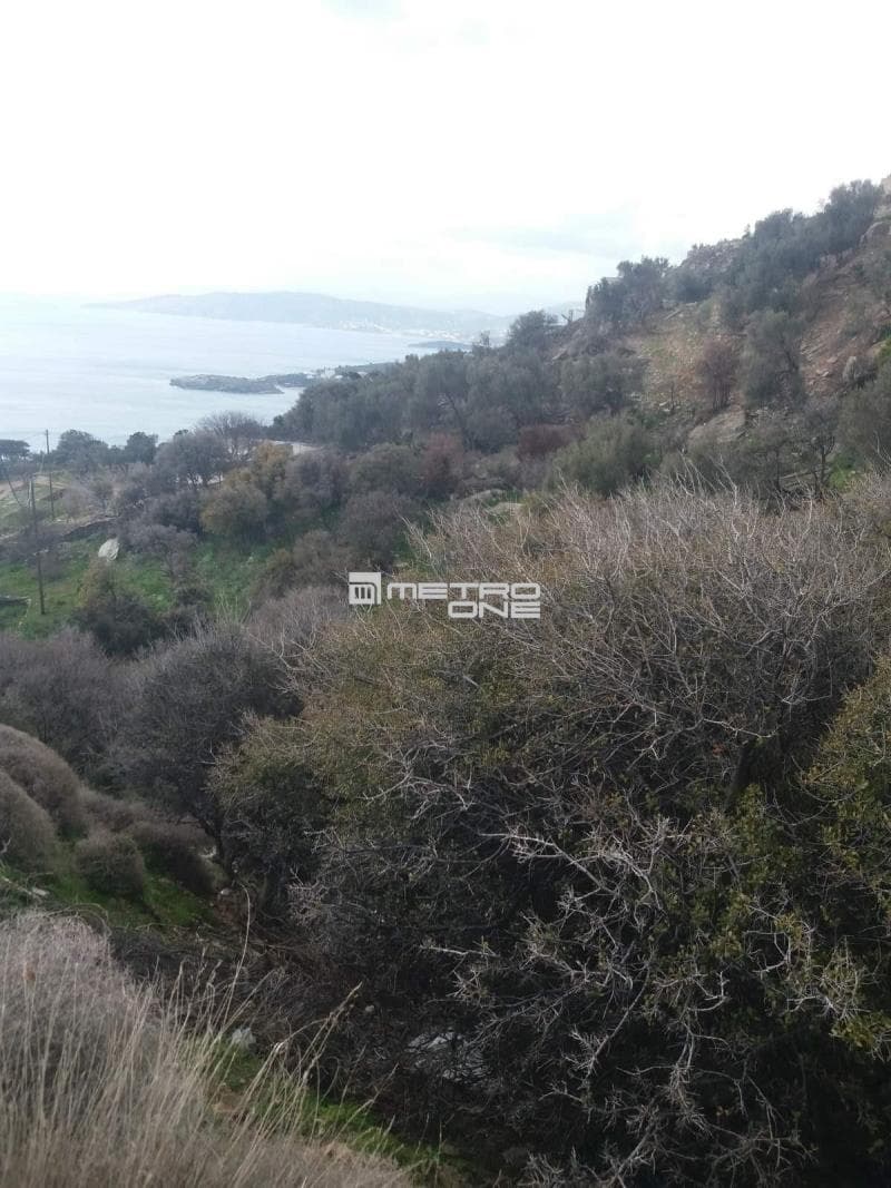 Parcel in Ano Aprovato, Andros — Photo 20 of 20