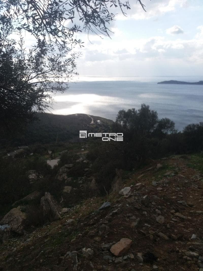 Parcel in Ano Aprovato, Andros — Photo 4 of 20
