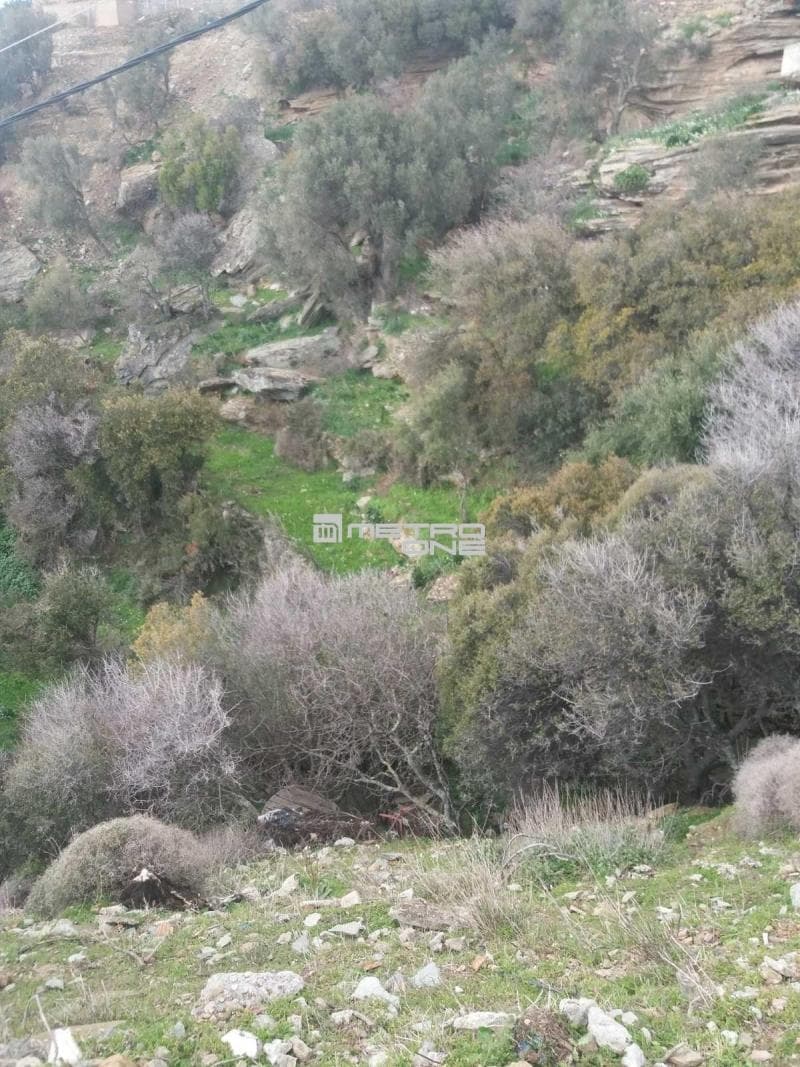 Parcel in Ano Aprovato, Andros — Photo 7 of 20