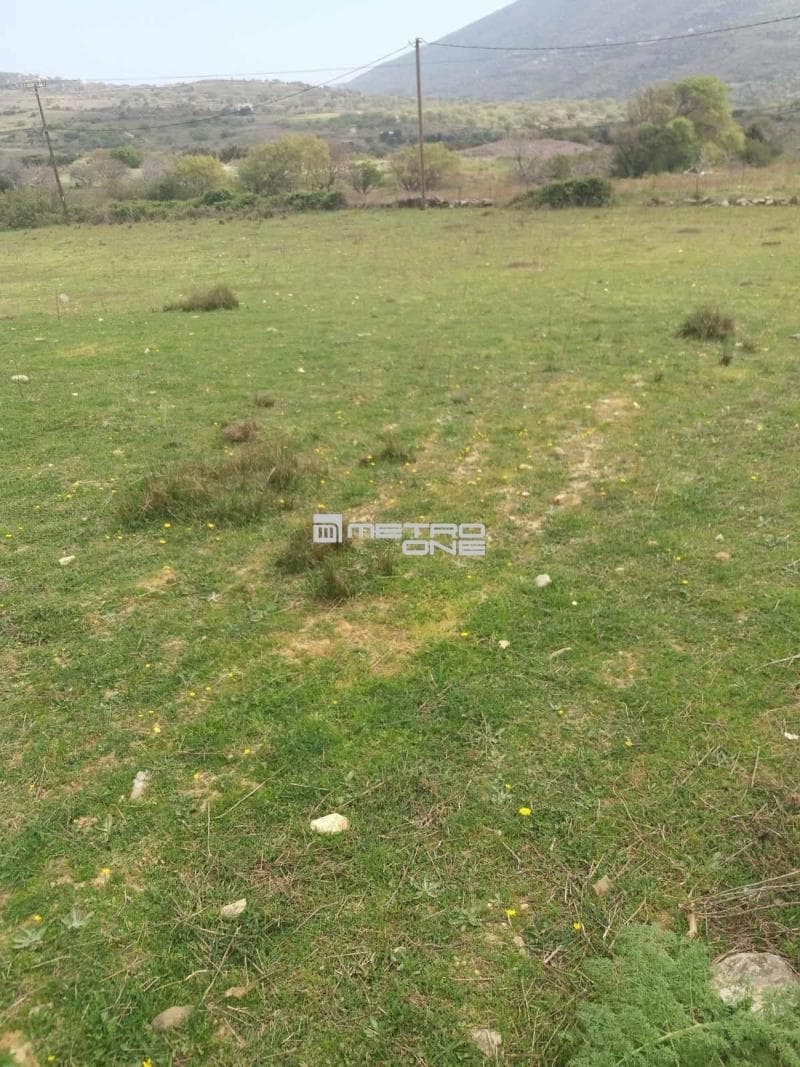 Parcel in Pitrofos, Andros — Photo 9 of 13