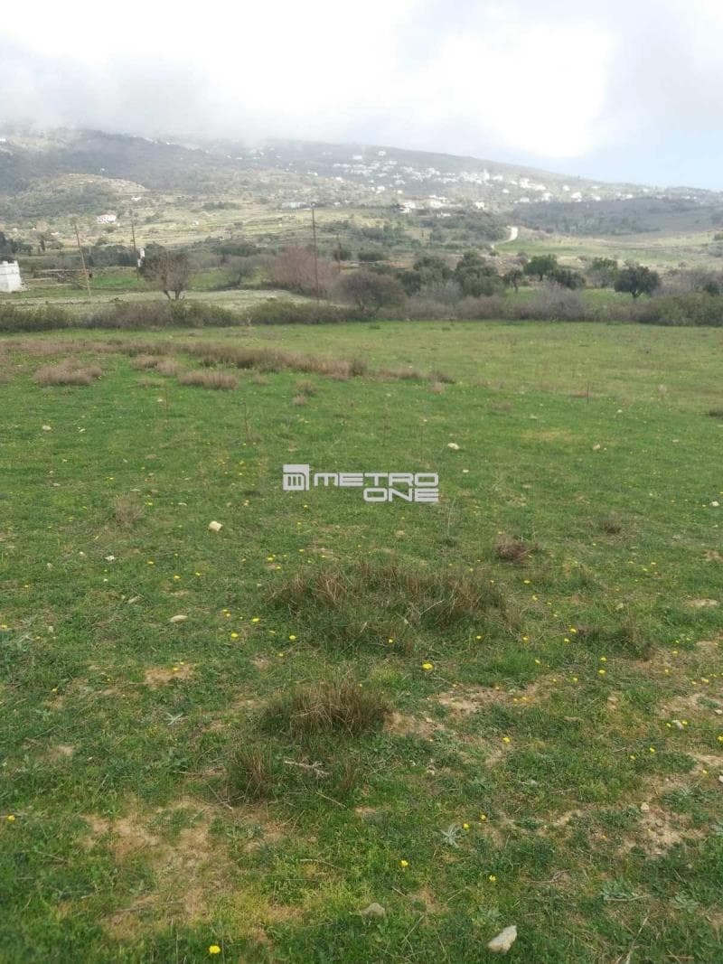 Parcel in Pitrofos, Andros — Photo 11 of 13