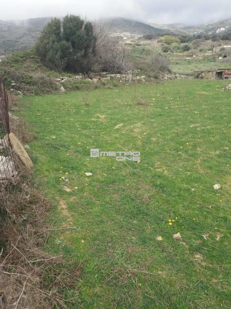 Parcel in Pitrofos, Andros — Photo 13 of 13
