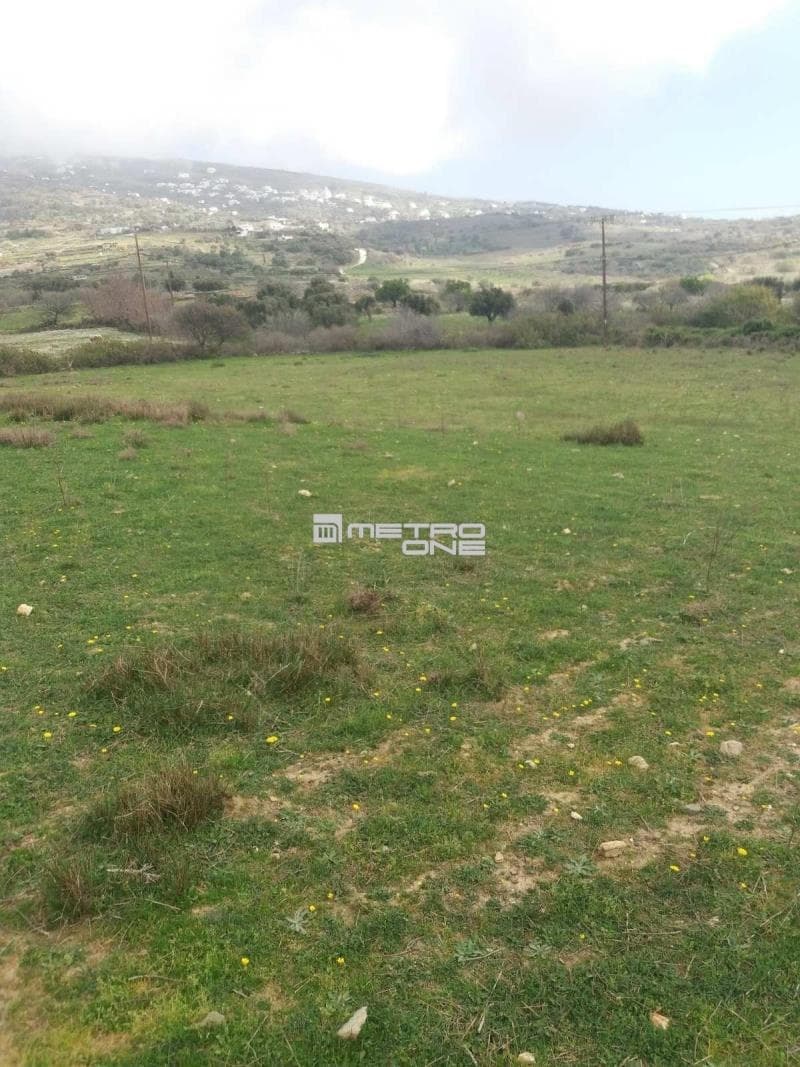 Parcel in Pitrofos, Andros — Photo 2 of 13