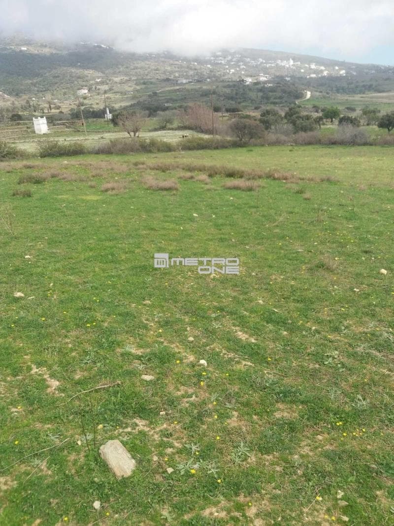 Parcel in Pitrofos, Andros — Photo 3 of 13