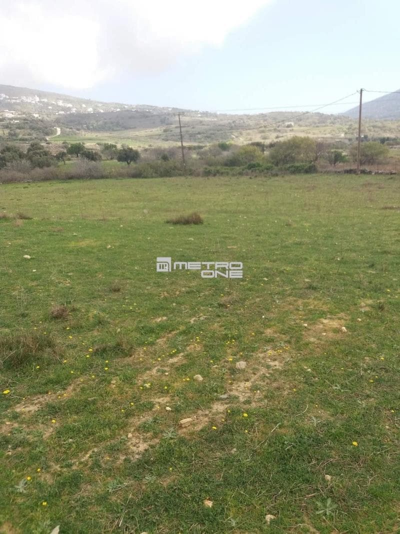 Parcel in Pitrofos, Andros — Photo 5 of 13