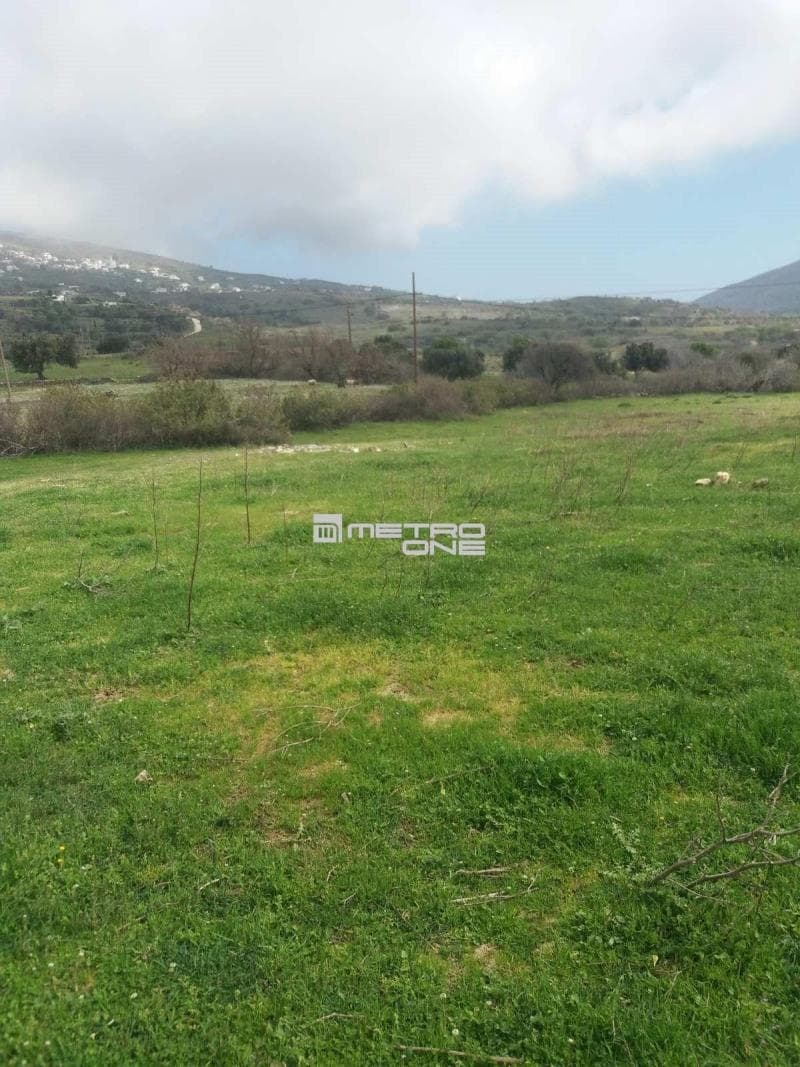 Parcel in Pitrofos, Andros — Photo 6 of 13