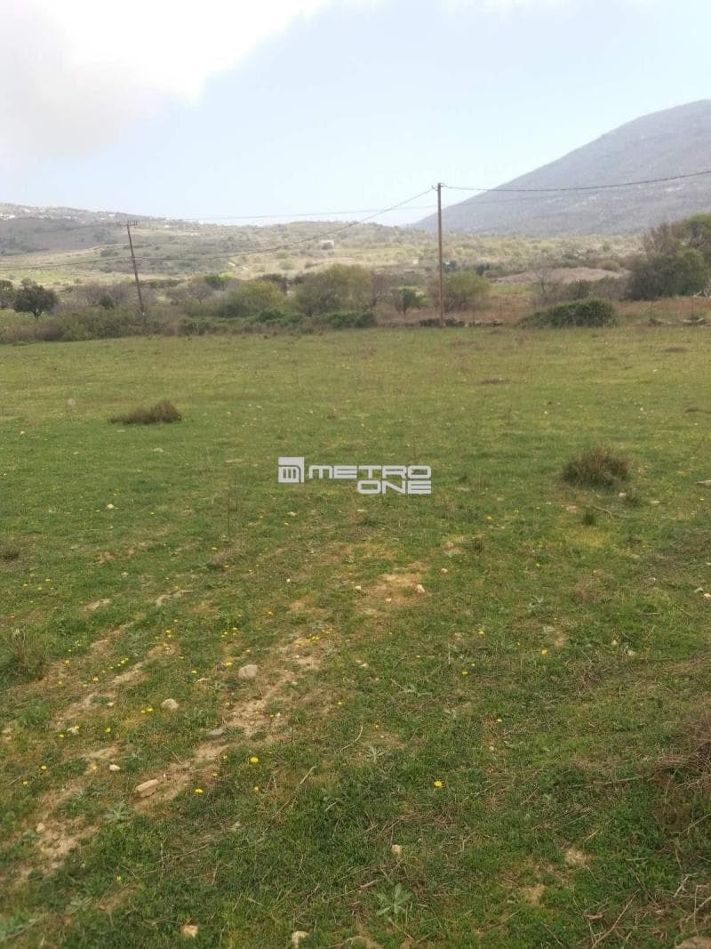 Parcel in Pitrofos, Andros — Photo 8 of 13