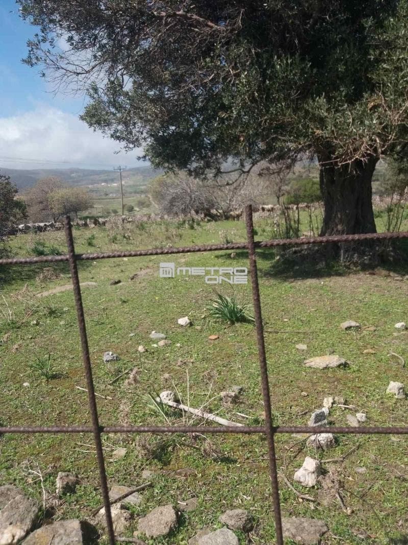 Parcel in Pitrofos, Andros — Photo 9 of 28