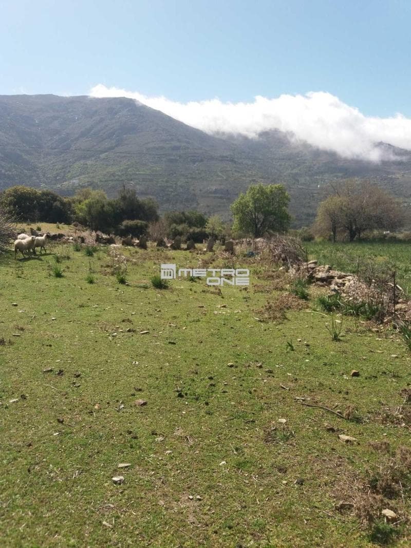 Parcel in Pitrofos, Andros — Photo 10 of 28