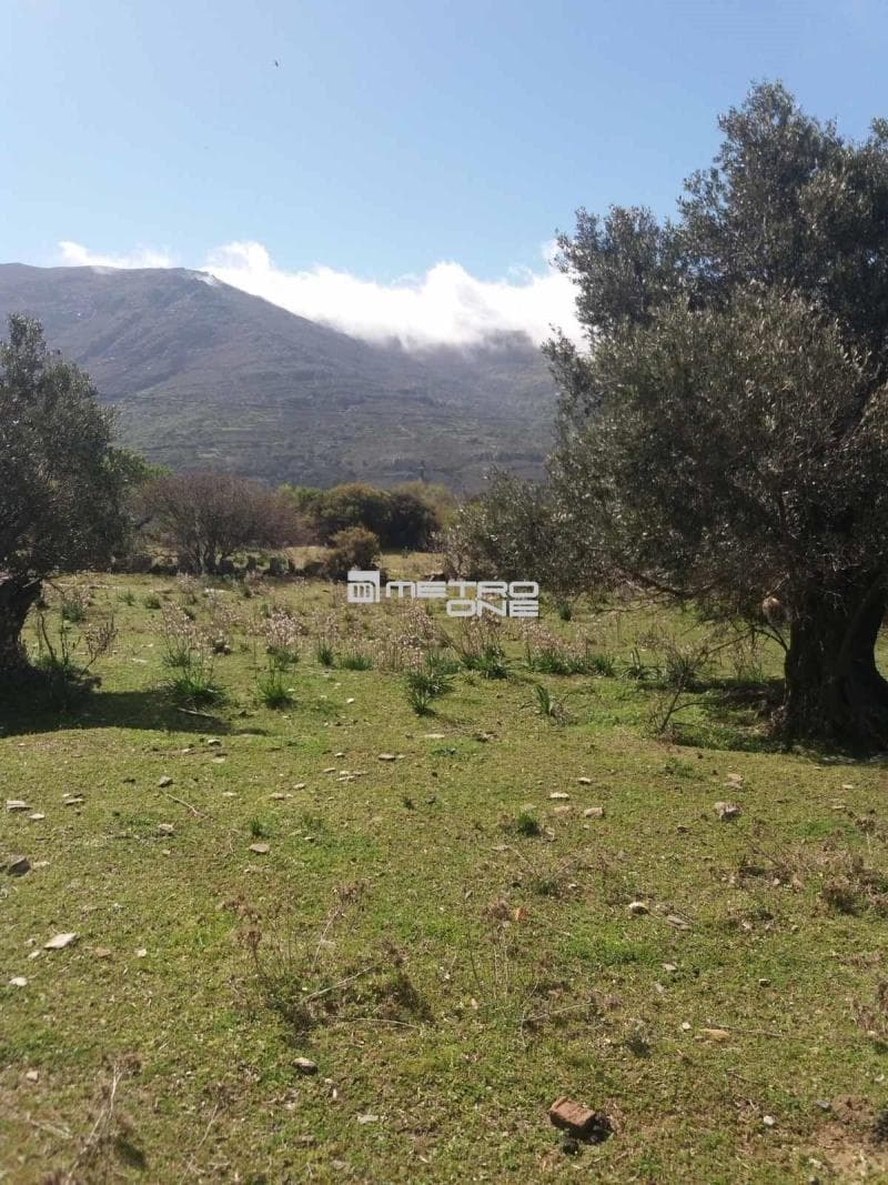 Parcel in Pitrofos, Andros — Photo 12 of 28