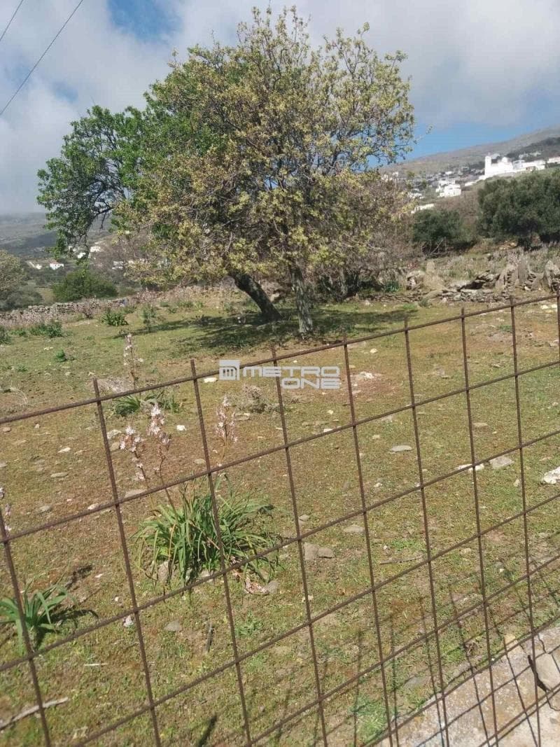 Parcel in Pitrofos, Andros — Photo 14 of 28