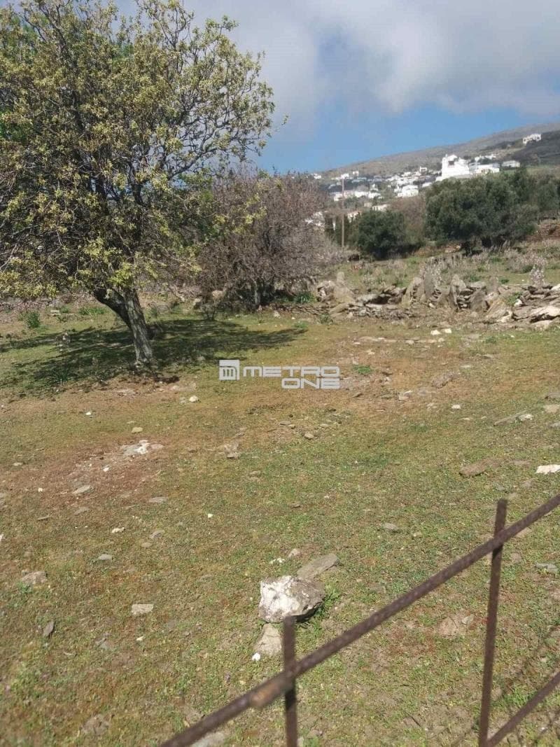 Parcel in Pitrofos, Andros — Photo 17 of 28