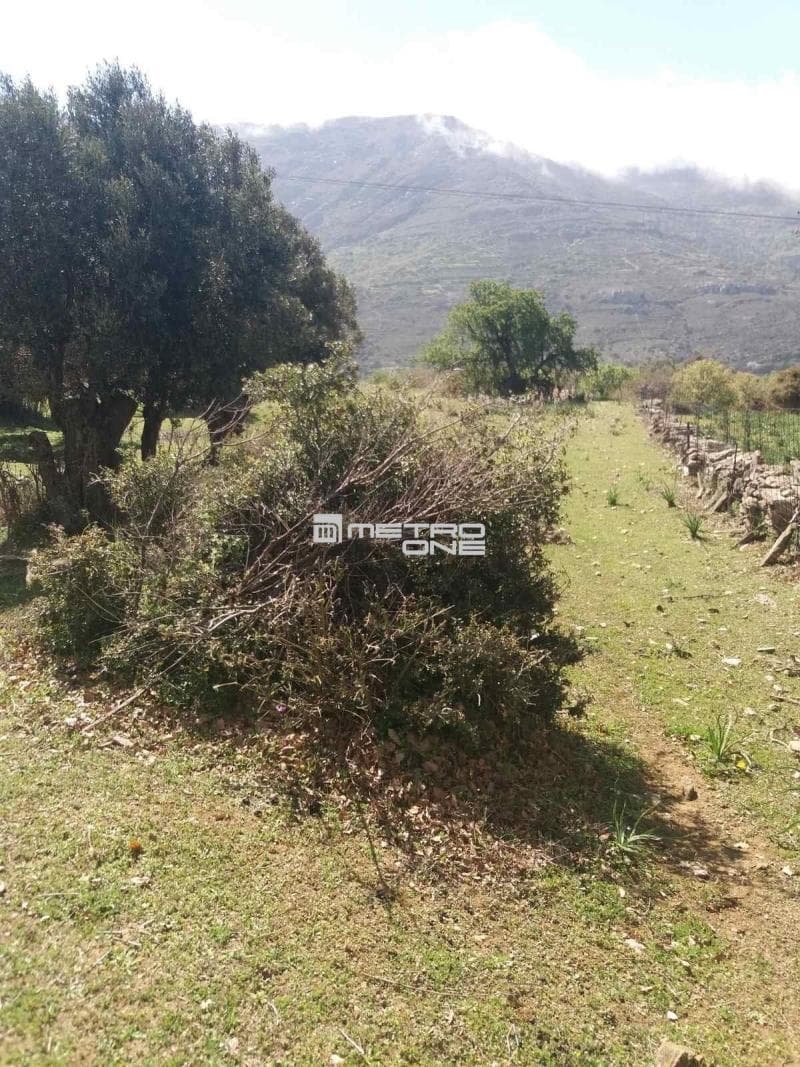 Parcel in Pitrofos, Andros — Photo 18 of 28