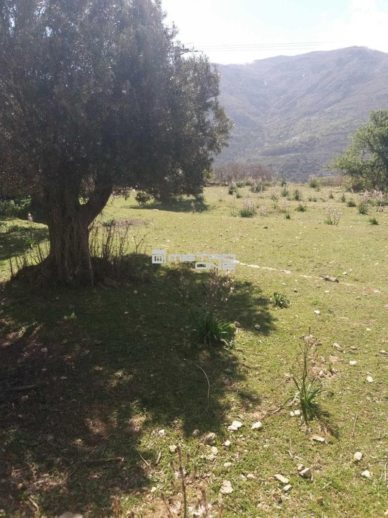 Parcel in Pitrofos, Andros — Photo 1 of 28