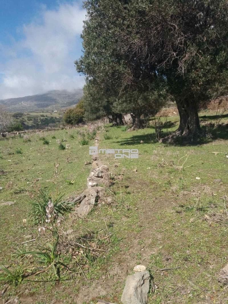 Parcel in Pitrofos, Andros — Photo 19 of 28