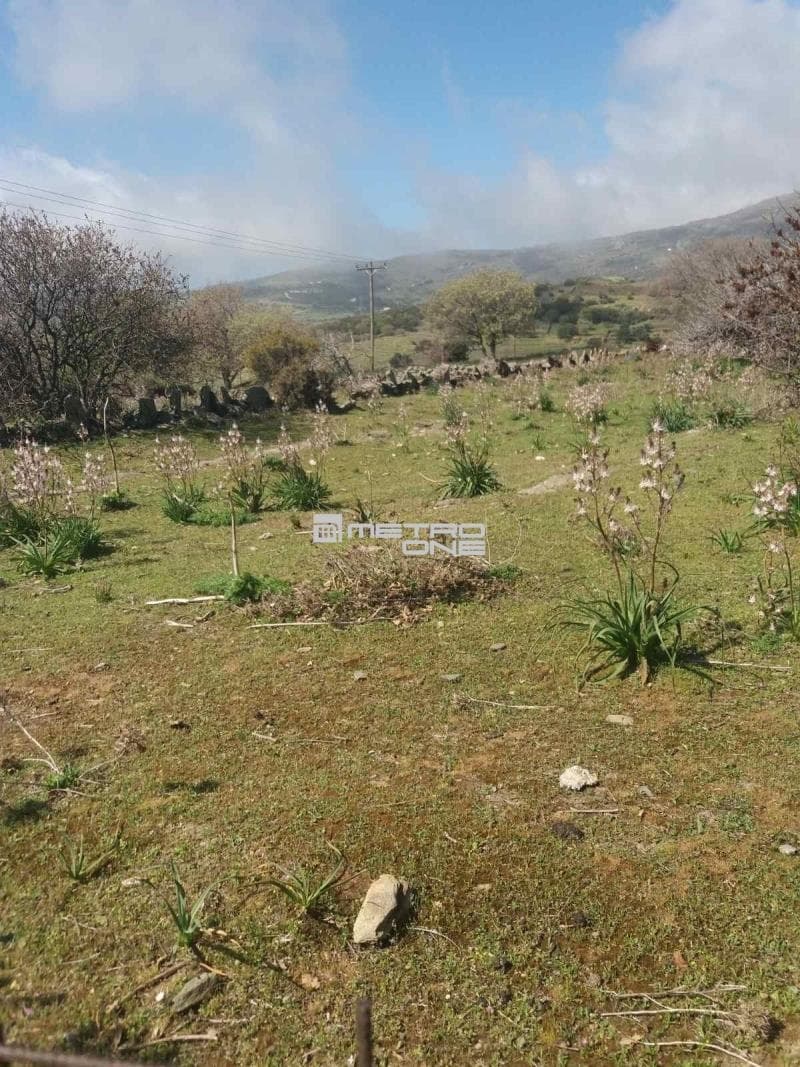 Parcel in Pitrofos, Andros — Photo 20 of 28