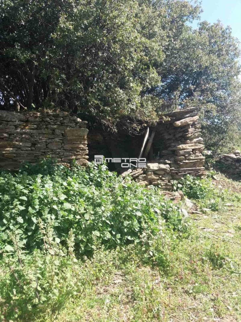 Parcel in Pitrofos, Andros — Photo 23 of 28