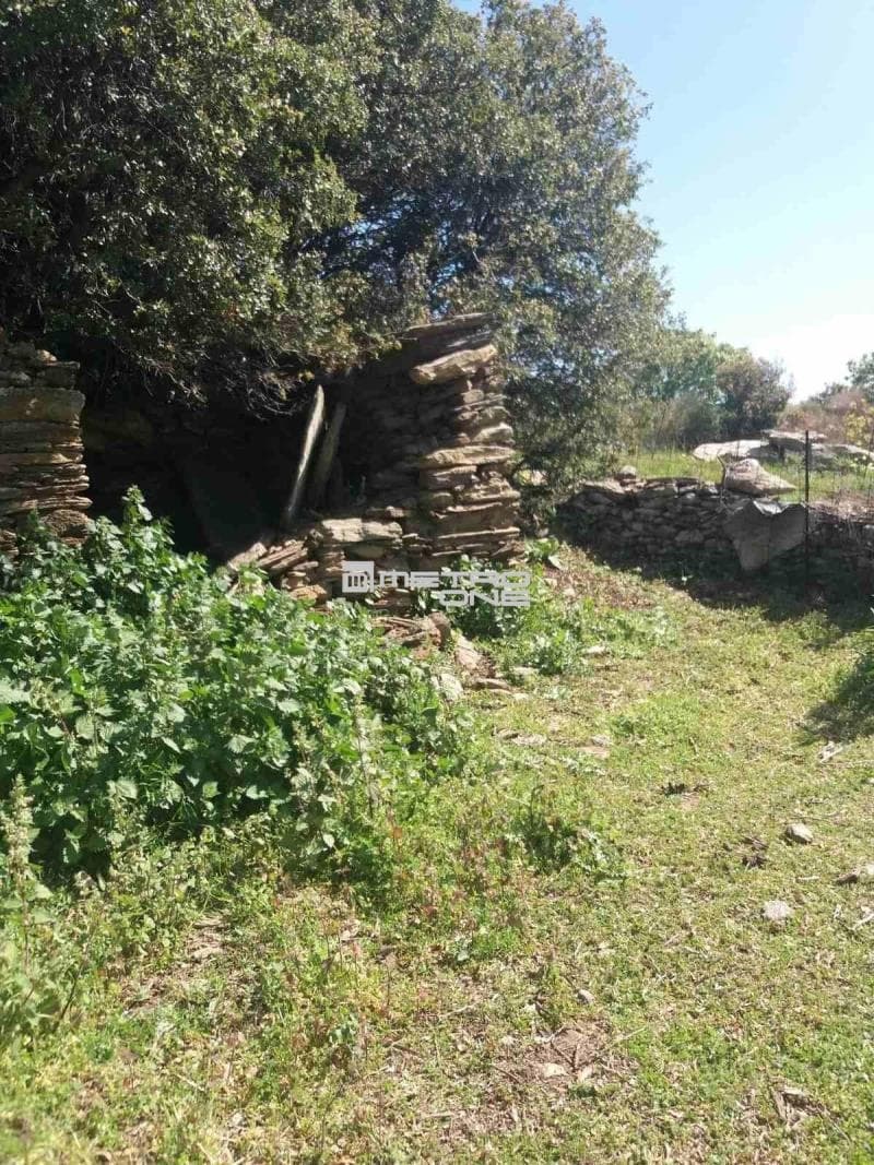 Parcel in Pitrofos, Andros — Photo 24 of 28