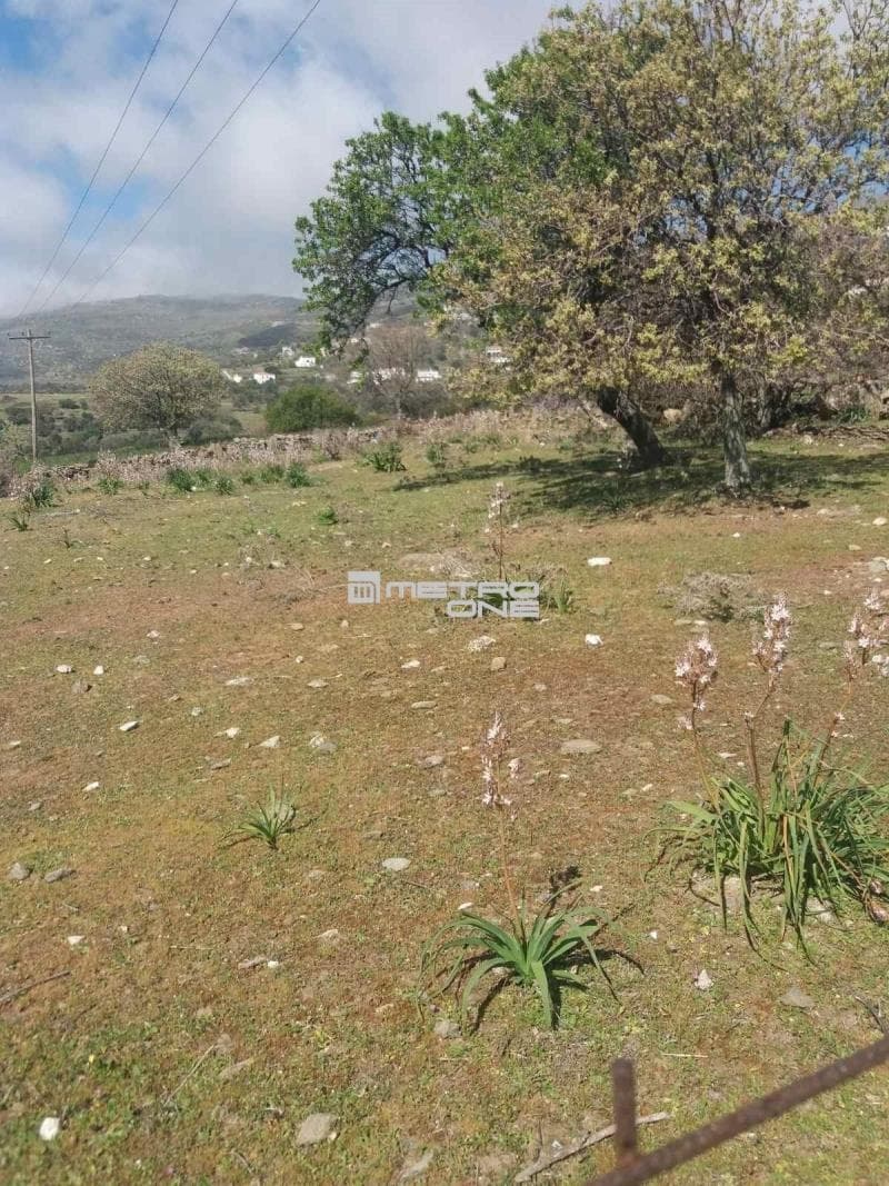 Parcel in Pitrofos, Andros — Photo 25 of 28