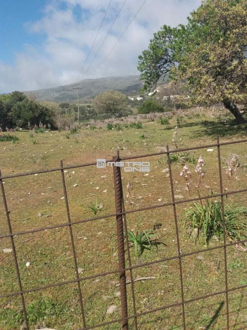Parcel in Pitrofos, Andros — Photo 26 of 28