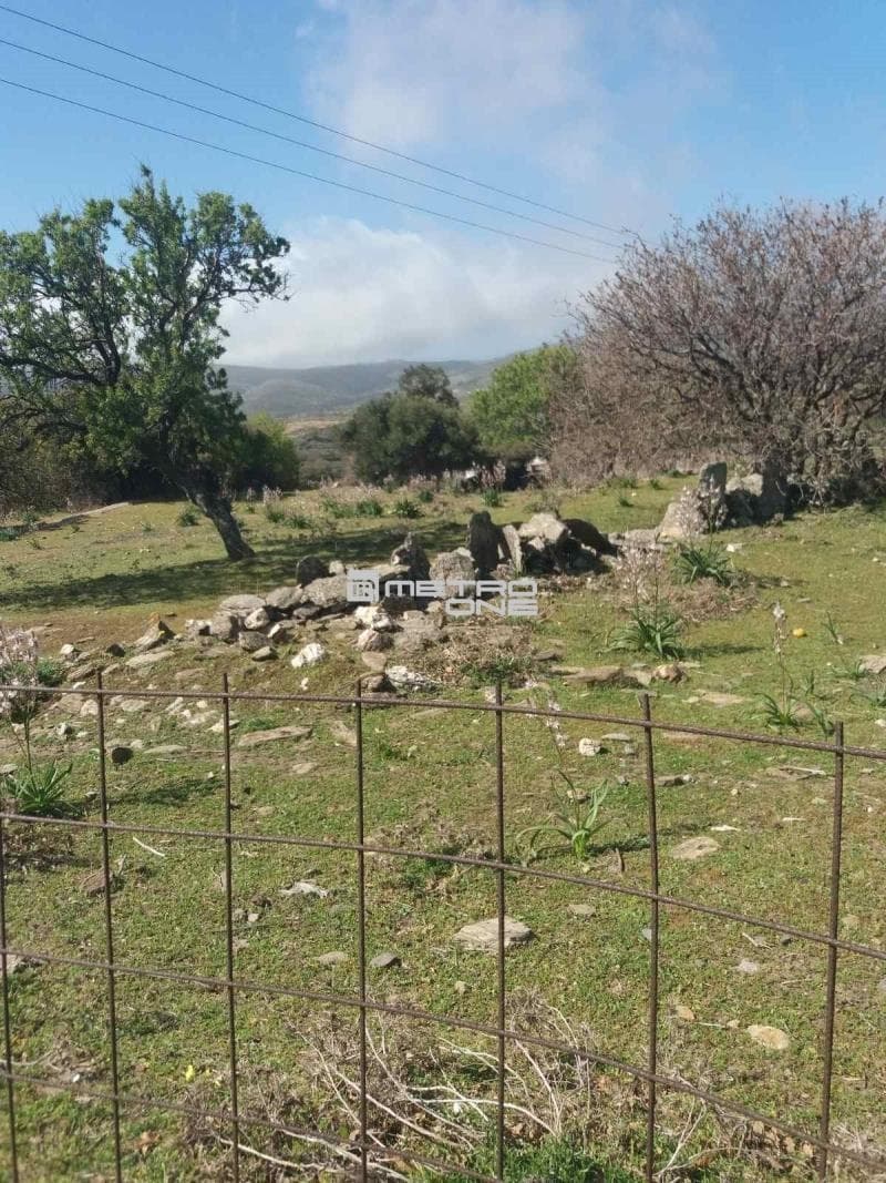 Parcel in Pitrofos, Andros — Photo 27 of 28