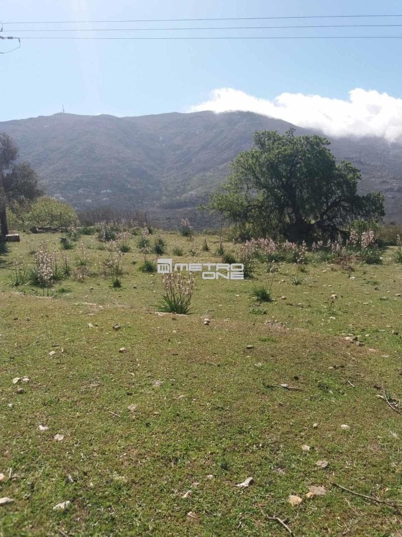 Parcel in Pitrofos, Andros — Photo 28 of 28