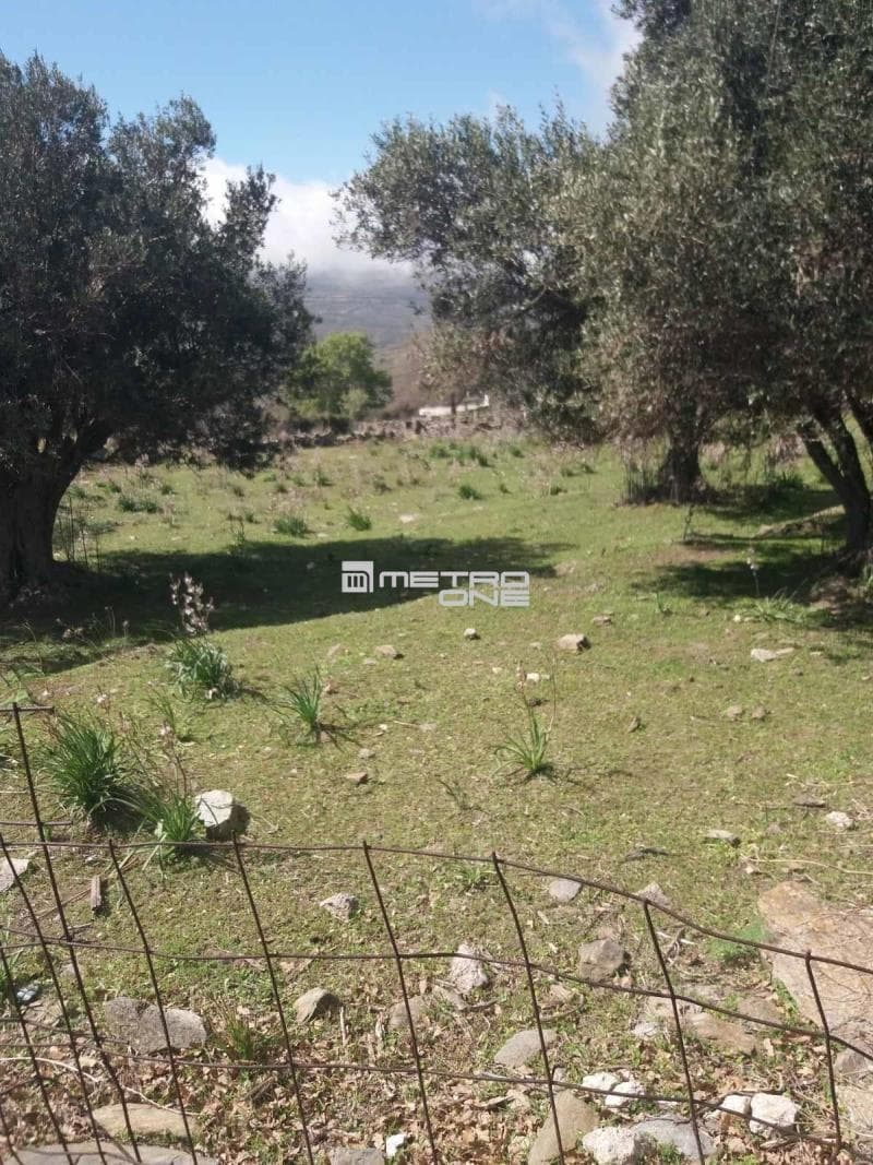 Parcel in Pitrofos, Andros — Photo 2 of 28