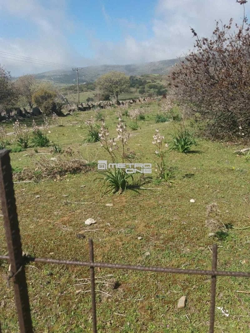 Parcel in Pitrofos, Andros — Photo 3 of 28