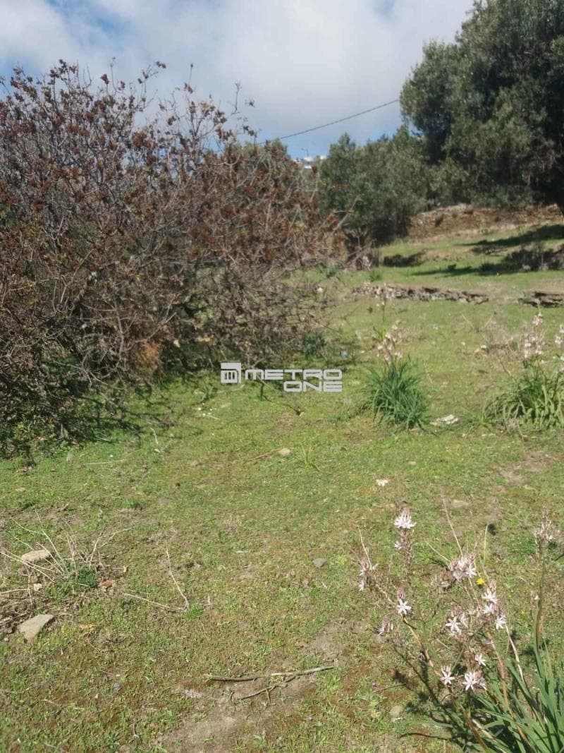 Parcel in Pitrofos, Andros — Photo 5 of 28