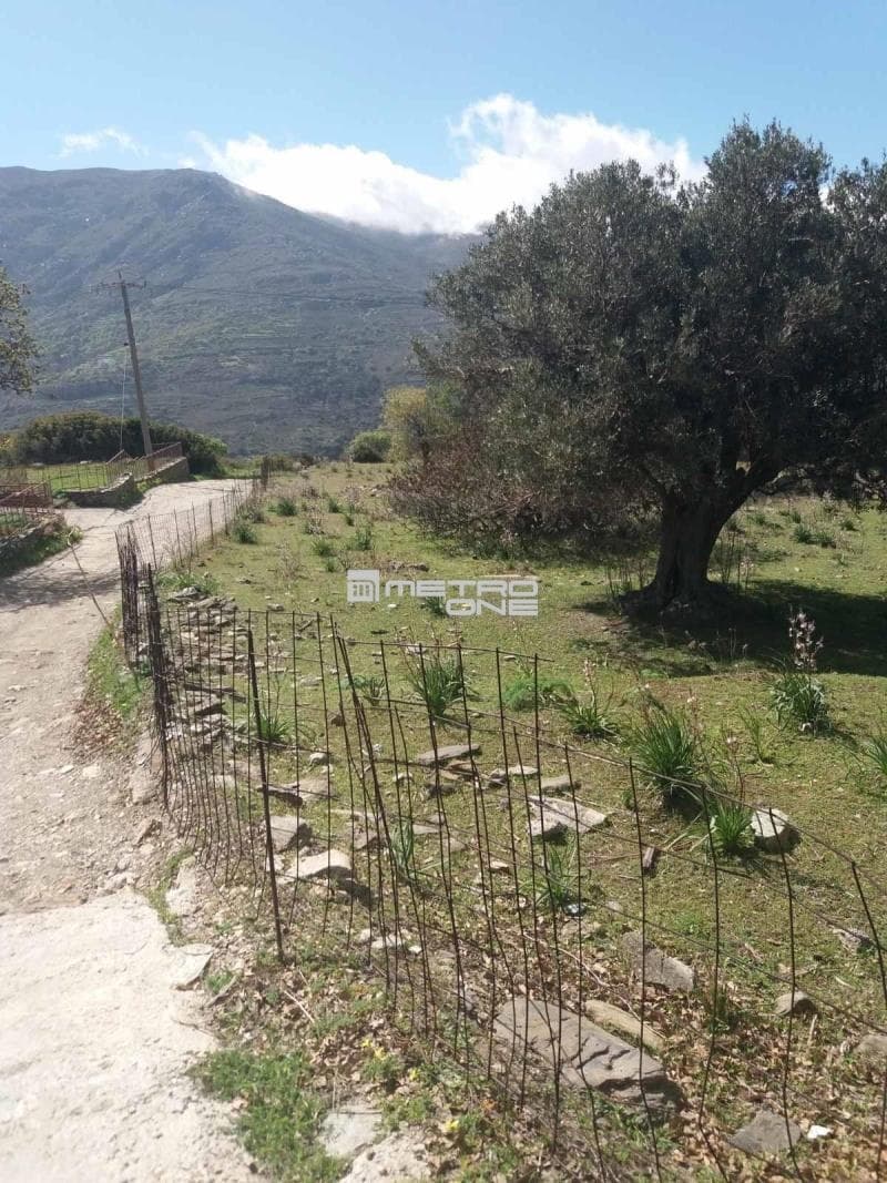 Parcel in Pitrofos, Andros — Photo 6 of 28