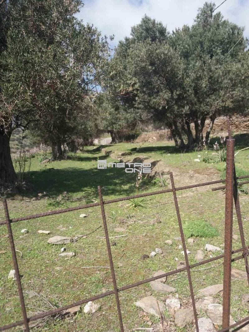 Parcel in Pitrofos, Andros — Photo 8 of 28