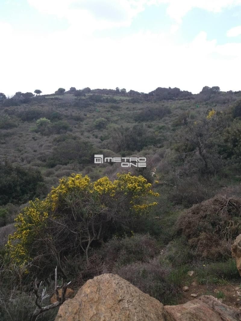 Parcel in Mpatsi, Andros — Photo 9 of 12