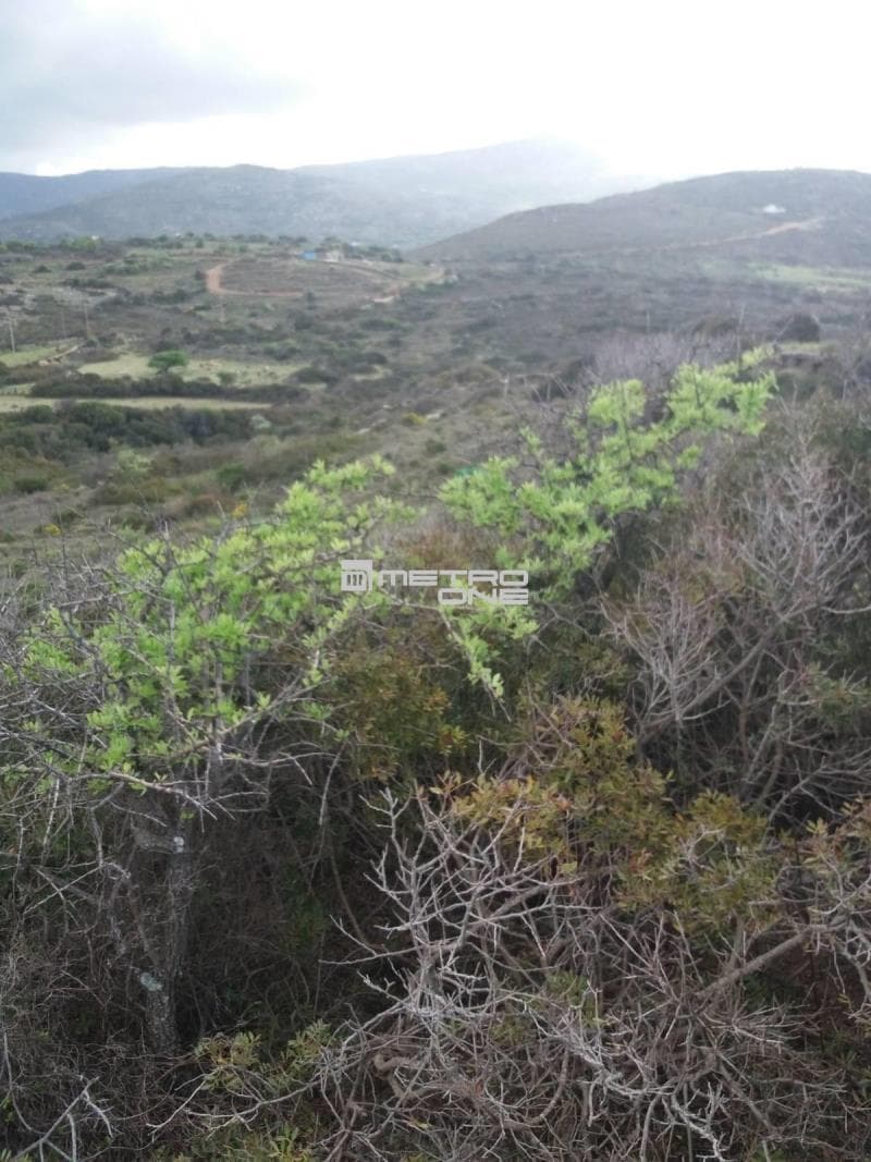 Parcel in Mpatsi, Andros — Photo 10 of 12