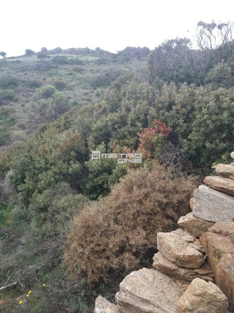Parcel in Mpatsi, Andros — Photo 11 of 12