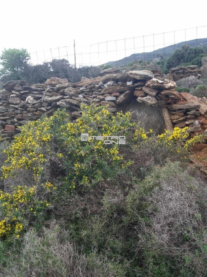 Parcel in Mpatsi, Andros — Photo 12 of 12