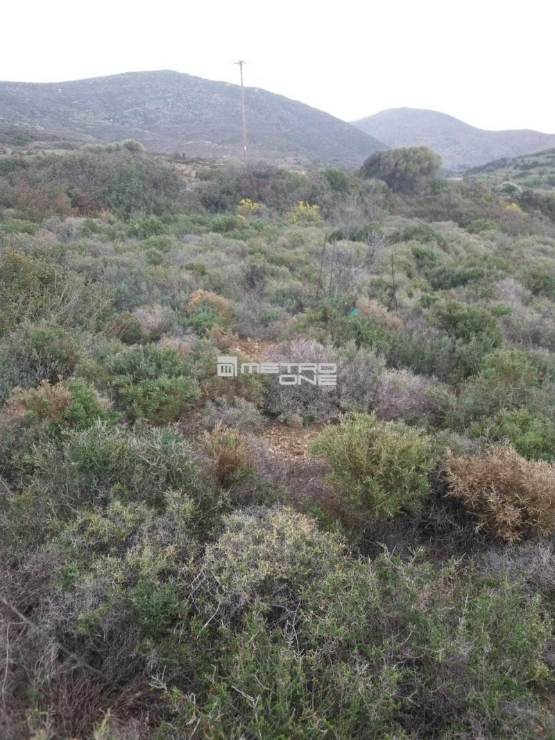 Parcel in Mpatsi, Andros — Photo 2 of 12