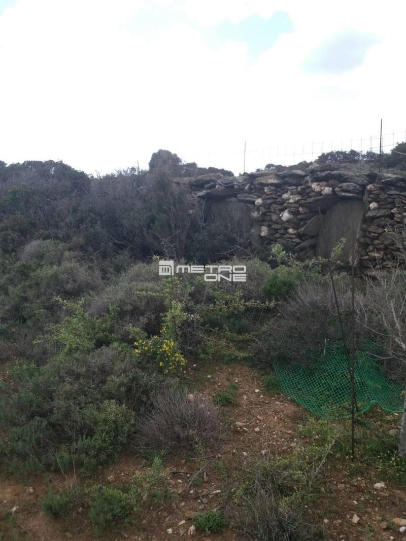 Parcel in Mpatsi, Andros — Photo 3 of 12