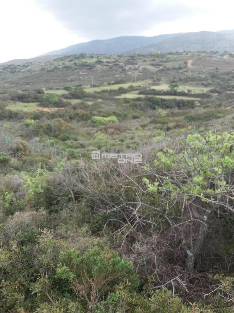 Parcel in Mpatsi, Andros — Photo 4 of 12