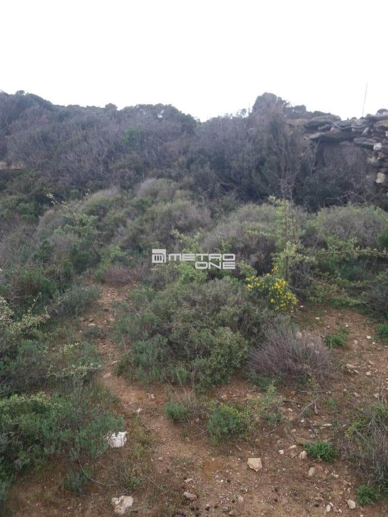 Parcel in Mpatsi, Andros — Photo 5 of 12