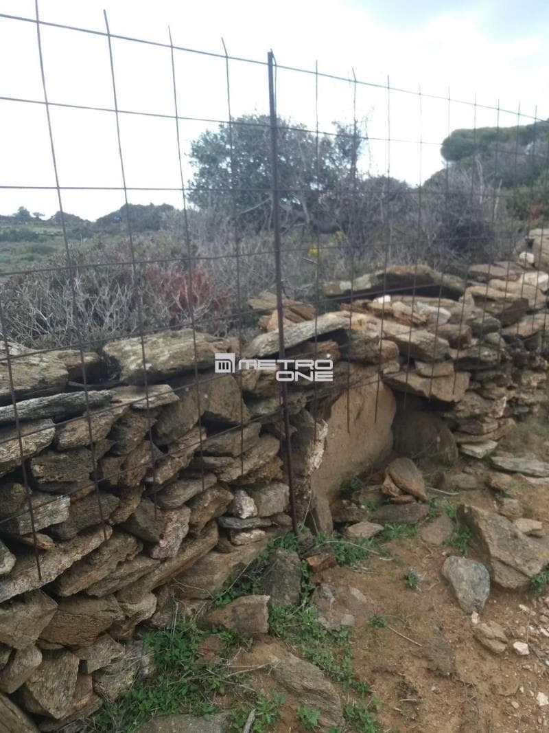 Parcel in Mpatsi, Andros — Photo 7 of 12
