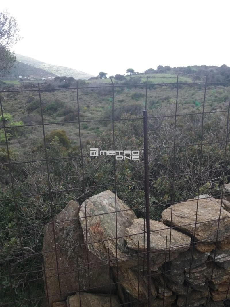 Parcel in Mpatsi, Andros — Photo 8 of 12
