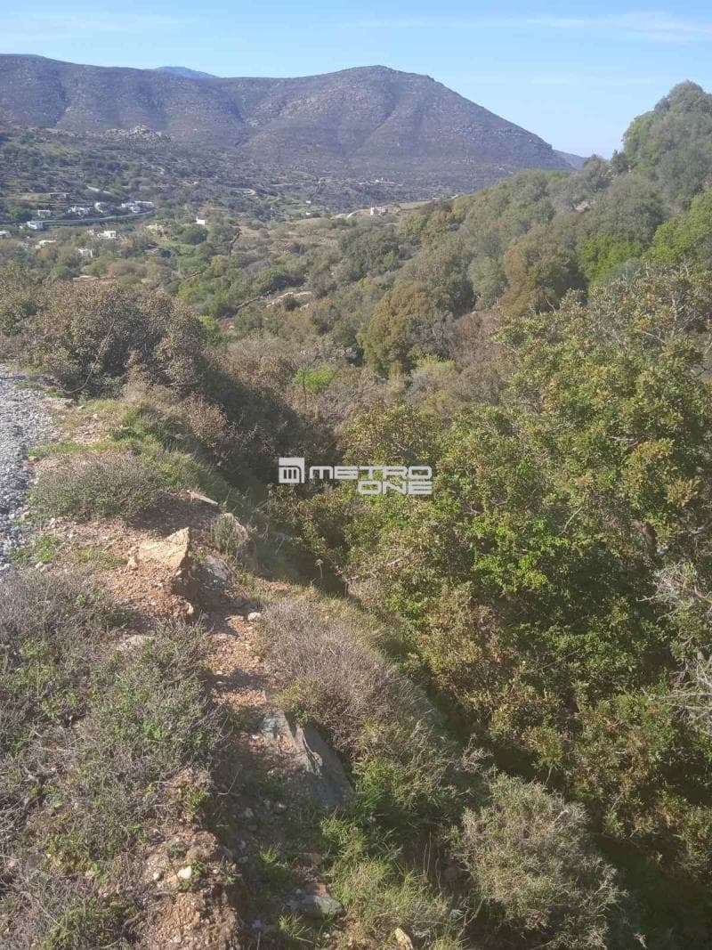 Μονοκατοικία στην Άνω Απρόβατο, Άνδρος — Φωτογραφία 12 από 30