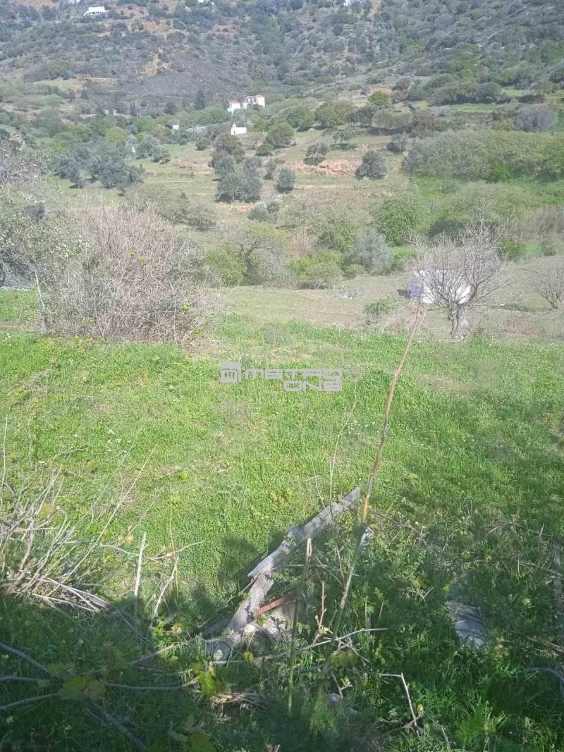 Μονοκατοικία στην Άνω Απρόβατο, Άνδρος — Φωτογραφία 16 από 30