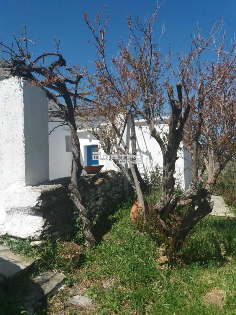 Μονοκατοικία στην Άνω Απρόβατο, Άνδρος — Φωτογραφία 18 από 30